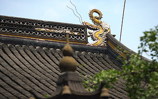 black and brown temple roof