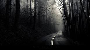 gray roadway, road, monochrome, forest