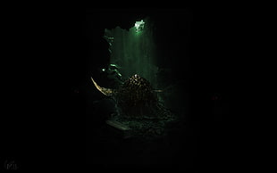 fantasy art, digital art, dark, Dark Souls HD wallpaper