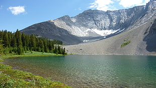lake near pine trees, nature, trees, mountains, water