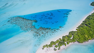 areal view of island