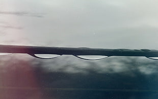 black framed Oakley sports sunglasses, rain, branch, water drops
