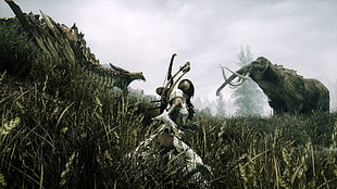 female warrior character and animals digital wallpaper, The Elder Scrolls V: Skyrim, Dovakhiin, dragon, mammoths