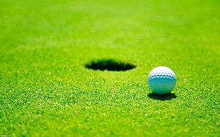 white golf ball, golf, balls, grass, green HD wallpaper