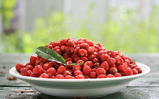 bunch of strawberries on plate HD wallpaper
