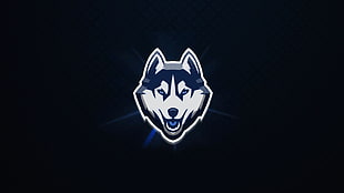 white and blue wolf logo, logo, BB Logo
