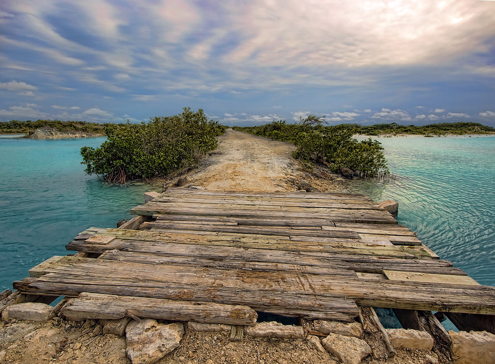 brown boat dock HD wallpaper