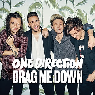 One Direction Drag me down poster