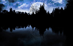 silhouette of trees, night, lake