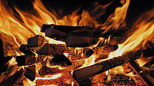 black firewood, fire, wood