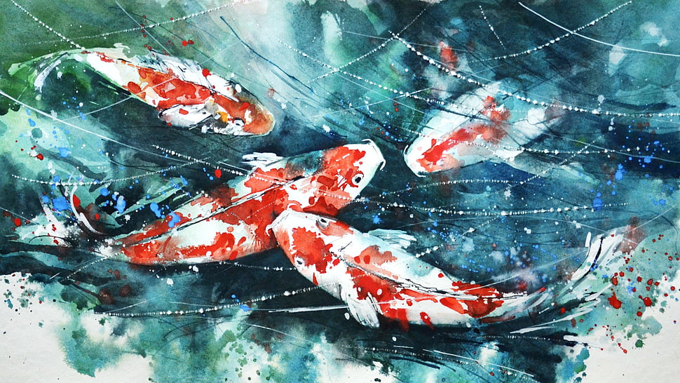 red koi fish painting, koi, painting, watercolor, fish HD wallpaper