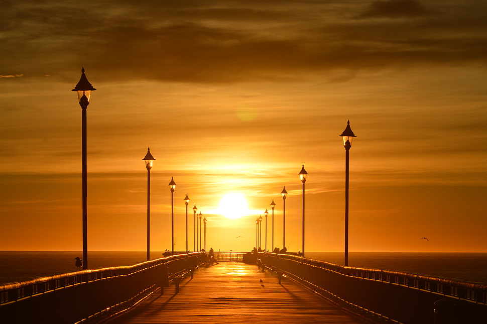 bridge during sunset HD wallpaper