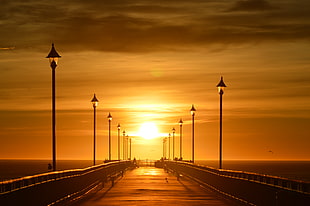 bridge during sunset HD wallpaper