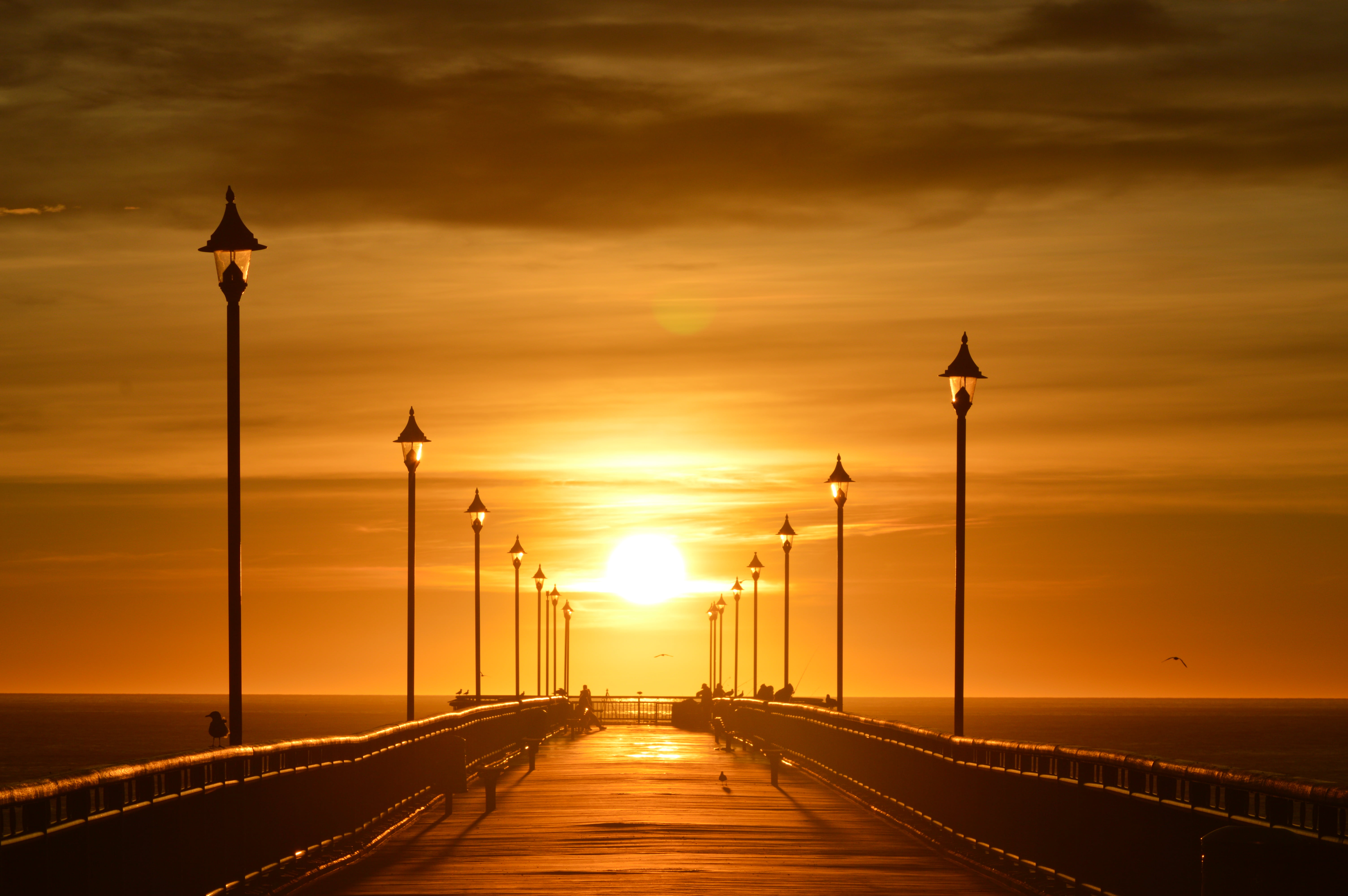 bridge during sunset