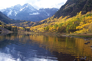 photo of still lake surrounded by green trees, maroon bells