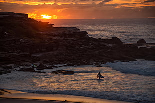 seashore, beach, sunset, sunlight, surfers HD wallpaper