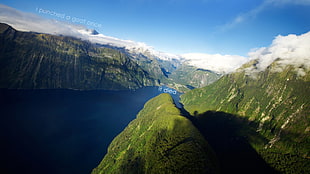 aerial view of mountain covered with trees