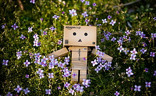 lonely box man on white petaled flowers