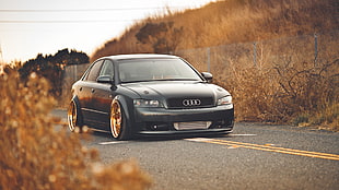 black Audi sedan on gray concrete road with brown grass on the side HD wallpaper