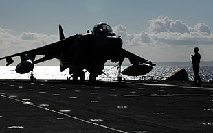 gray jet fighter, airplane, Harrier