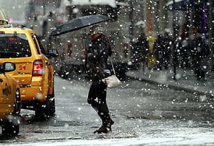 woman holding a black umbrella walking at black asphalt road