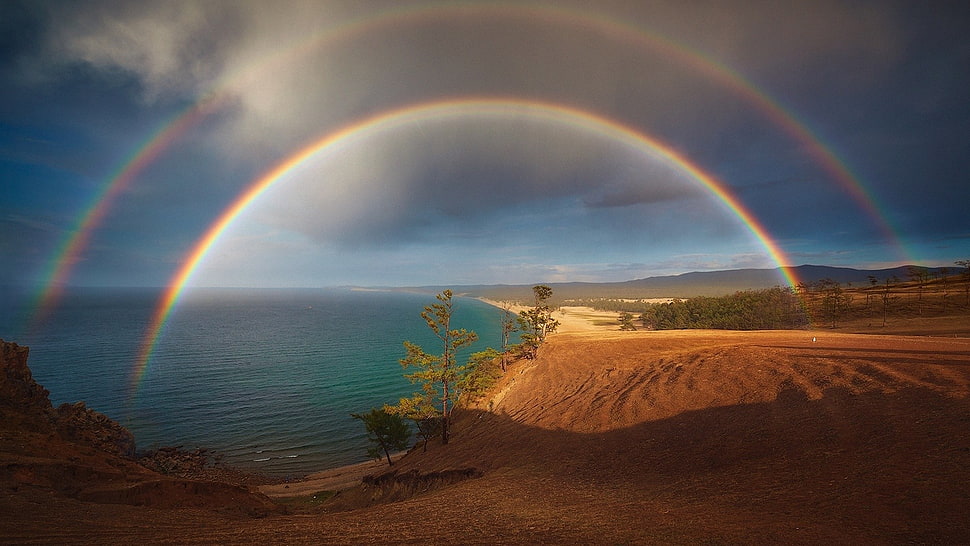 two rainbows, nature, landscape, trees, 500px HD wallpaper