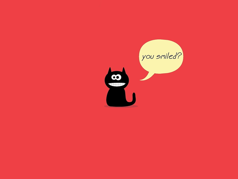 You Smiled ? quotation HD wallpaper