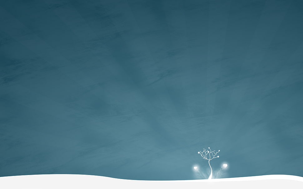 green and white tree on horizon HD wallpaper HD wallpaper