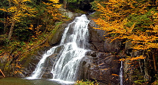 time-lapse photography of waterfalls surrounded by green and brown trees at daytime, vermont