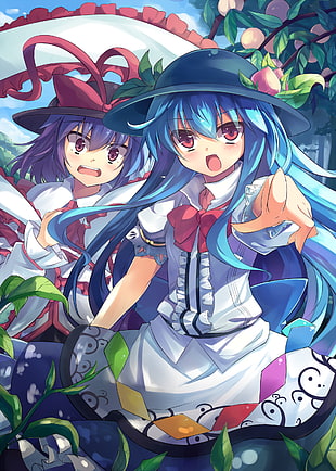 two female anime character poster, Touhou HD wallpaper