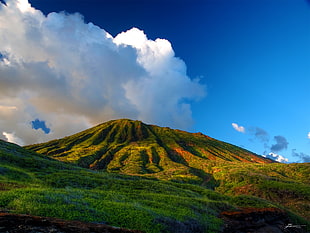 landscape photo of green and brown mountain