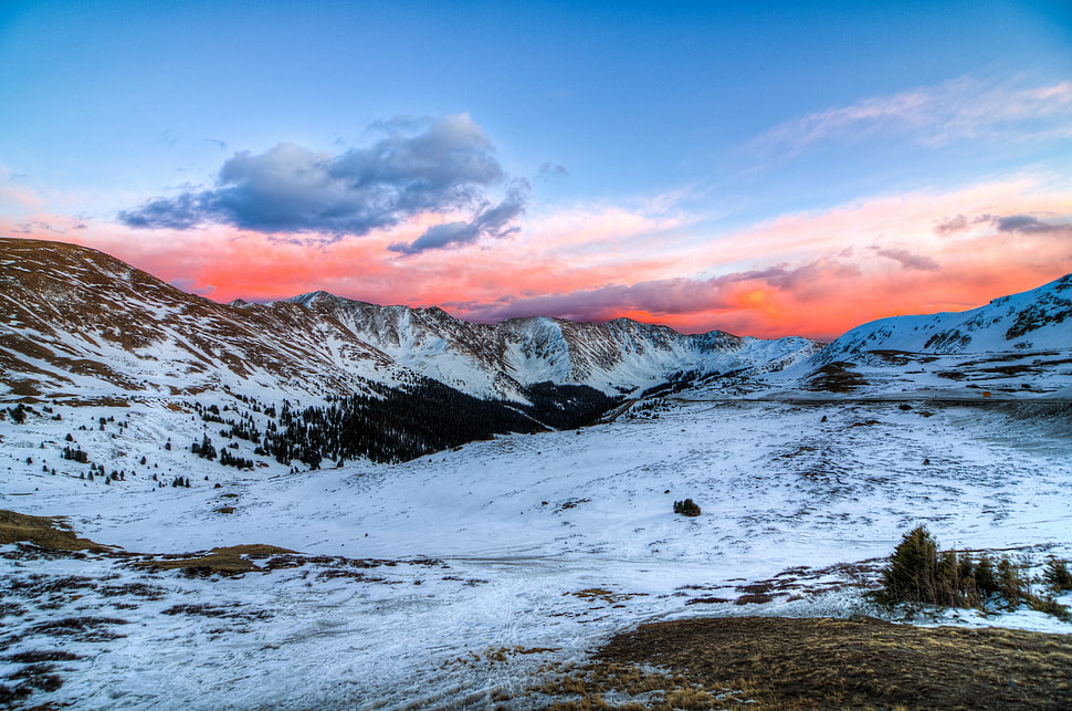 brown and white mountains with snow HD wallpaper
