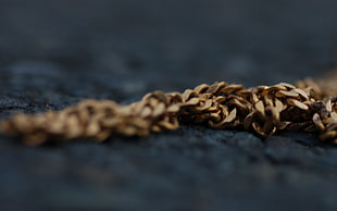 macro photography of gold-colored chain necklace