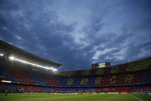 green soccer field, FC Barcelona, Camp Nou, soccer clubs, soccer HD wallpaper