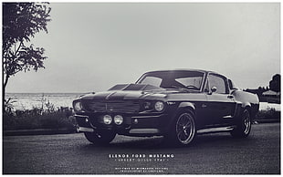 black coupe, Elenor, Eleanor (car), Shelby GT500, vehicle
