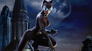 Catwoman digital wallpaper