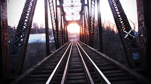 brown bridge, railway HD wallpaper