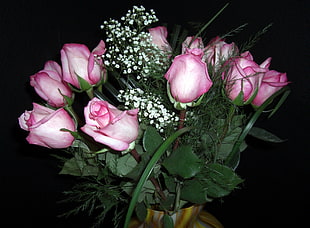 pink Rose flower bouquet HD wallpaper