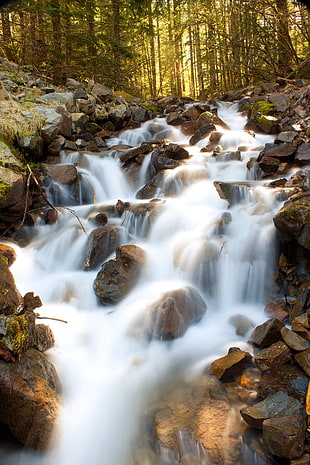 time lapse photography of waterfalls surrounded by trees and rocks HD wallpaper
