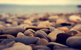 brown and gray stones HD wallpaper