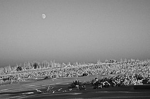 grayscale photography of moon, nature, winter, monochrome, Moon