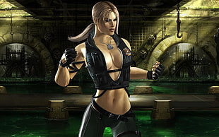 Tekken 3 Nina Williams HD wallpaper