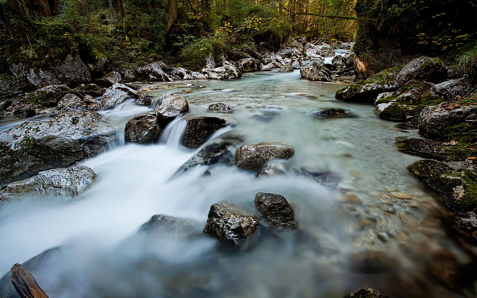 river in forest, nature, landscape, river, long exposure HD wallpaper