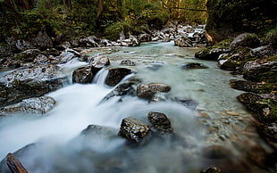river in forest, nature, landscape, river, long exposure