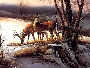 two brown deer painting, animals, nature, deer, Terry Redlin