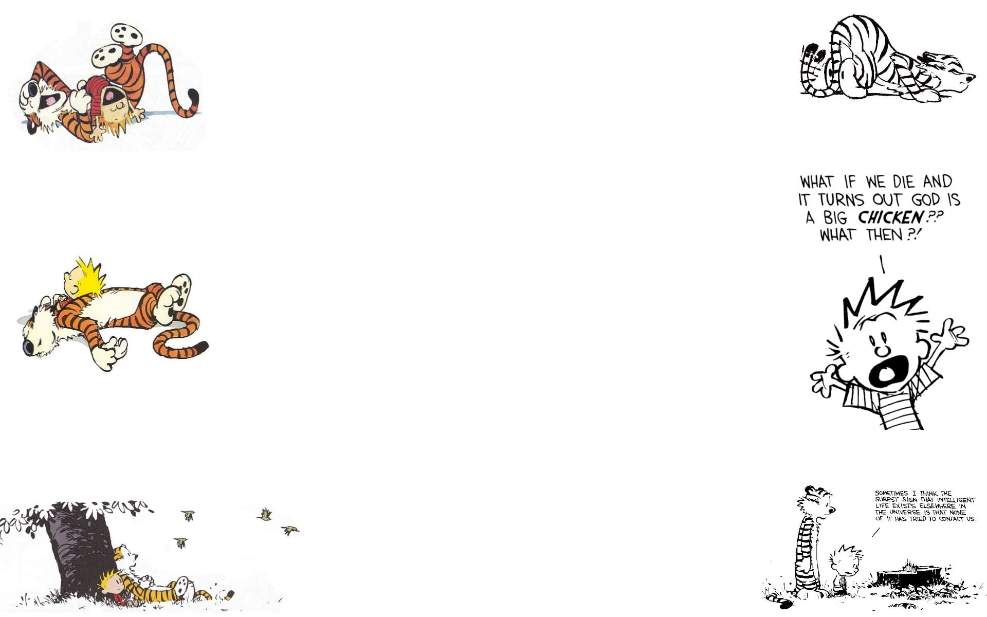 Cartoon characters illustration, Calvin and Hobbes HD wallpaper | Wallpaper  Flare