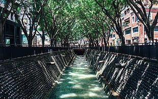 canal between trees, Japan, cityscape HD wallpaper