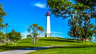 white and red lighthouse surrounded by trees at daytime, long beach