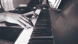 person playing piano HD wallpaper
