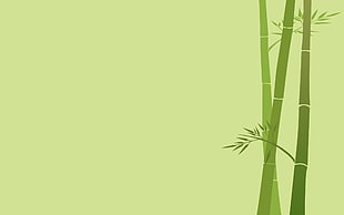 bamboo tree illustration, bamboo, artwork, simple background, minimalism HD wallpaper